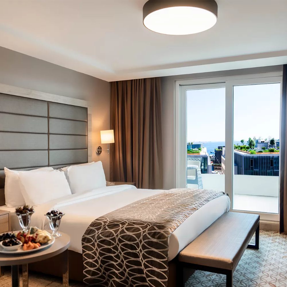 Deluxe room and terrace